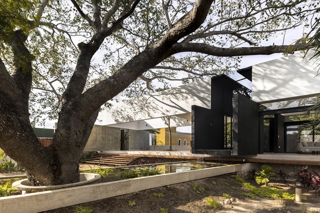 Dom wśród drzew studia AS Arquitectura